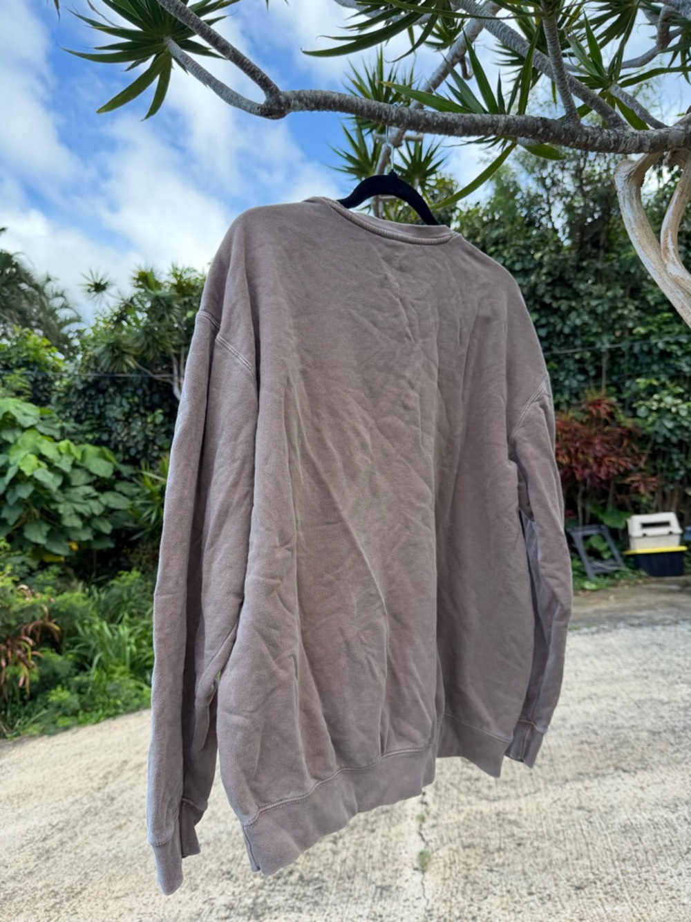 Aloha Script Pullover Sweatshirt - Brown - Picture 3 of 5